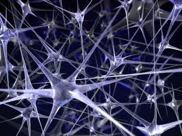 Investigación científica en nanomedicina